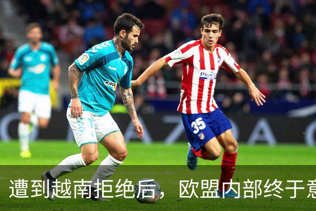 遭到越南拒绝后，欧盟内部终于意识到：什么叫 “中国力量”！